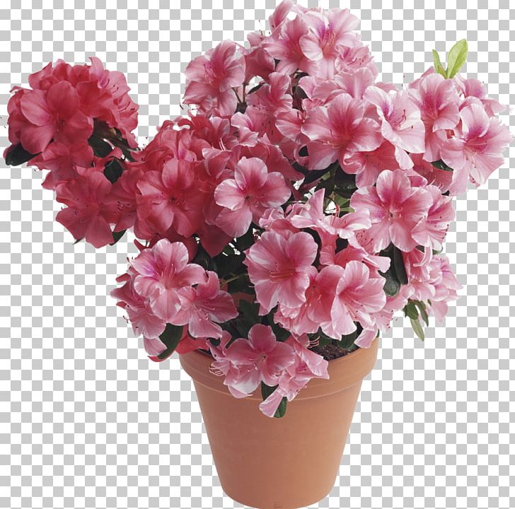Flower Bouquet Houseplant Birthday Floristry PNG, Clipart, Artificial Flower, Azalea, Birthday, Blossom, Cherry Blossom Free PNG Download