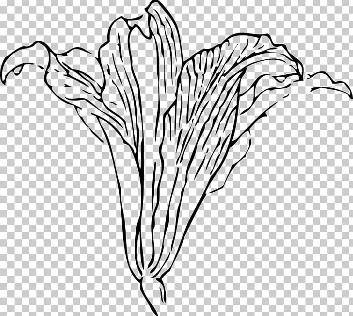 Flower PNG, Clipart, Art, Artwork, Arumlily, Beak, Black And White Free PNG Download