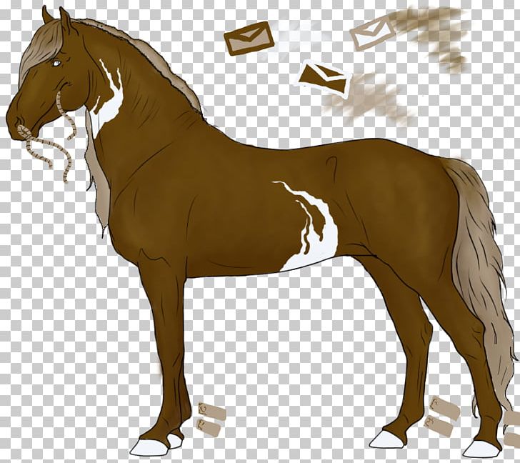 Foal Stallion Mare Mustang Colt PNG, Clipart, Colt, Dog Harness, Foal, Halter, Horse Free PNG Download
