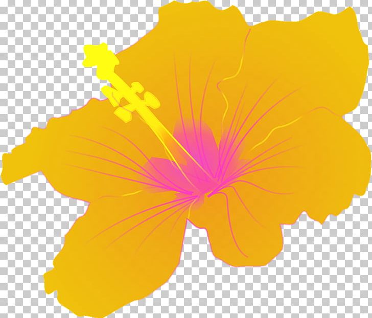 Hawaiian Hibiscus Shoeblackplant PNG, Clipart, Alyogyne Huegelii, Desktop Wallpaper, Drawing, Flower, Flower Clipart Free PNG Download