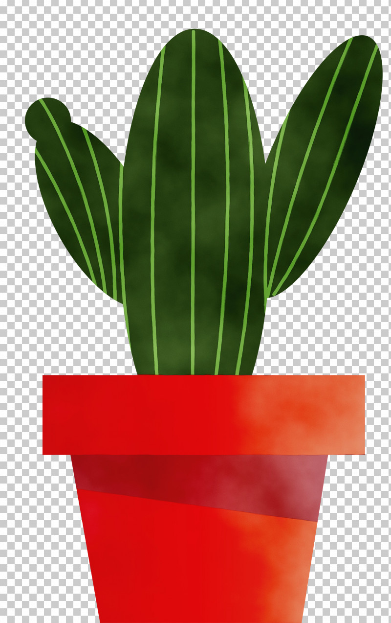 Cactus PNG, Clipart, Cactus, Drawing, Flowerpot, Leaf, Logo Free PNG Download