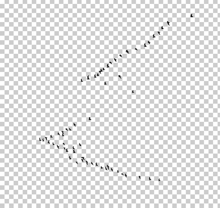 Bird Flock PNG, Clipart, Angle, Animal Migration, Animals, Area, Beak Free PNG Download
