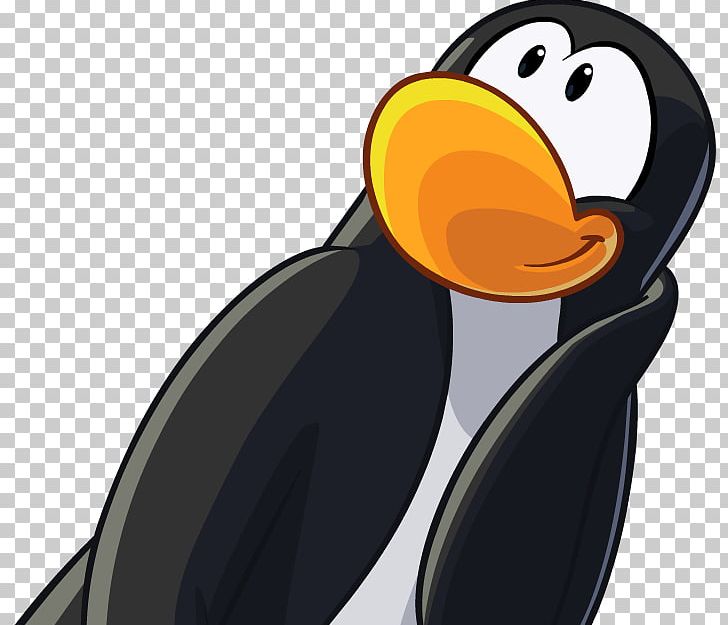 Club Penguin Blog PNG, Clipart, Animals, Beak, Bird, Blog, Club Penguin Free PNG Download