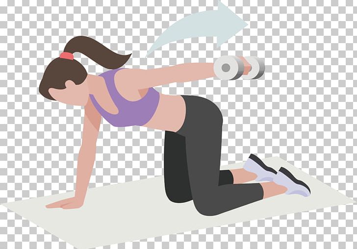 Dumbbell Physical Exercise Physical Fitness Arm Torso PNG, Clipart, Angle, Beautiful Girl, Coach, Exercise, Fitness Free PNG Download