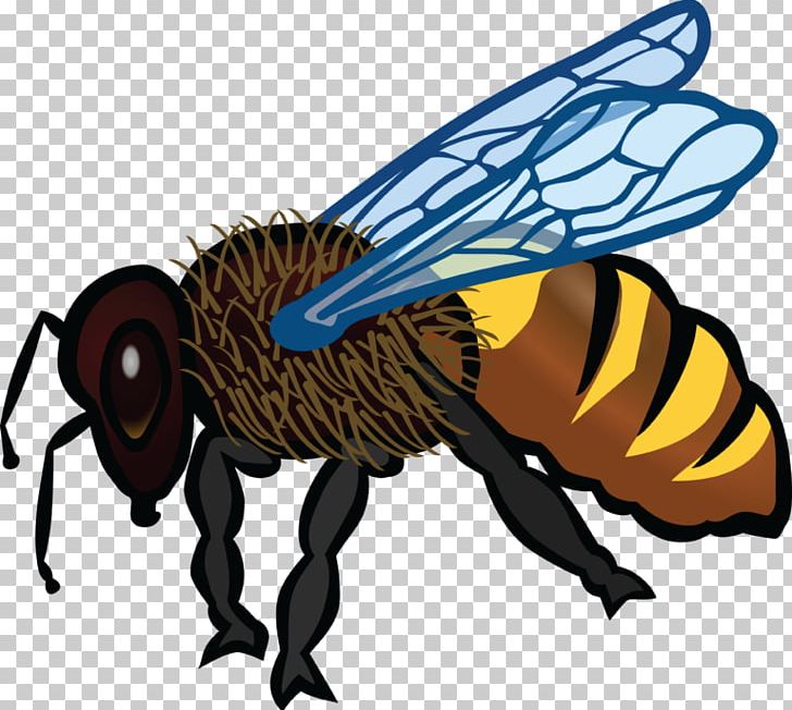 Honey Bee Insect Open PNG, Clipart, Arthropod, Artwork, Bee, Beehive, Bumblebee Free PNG Download