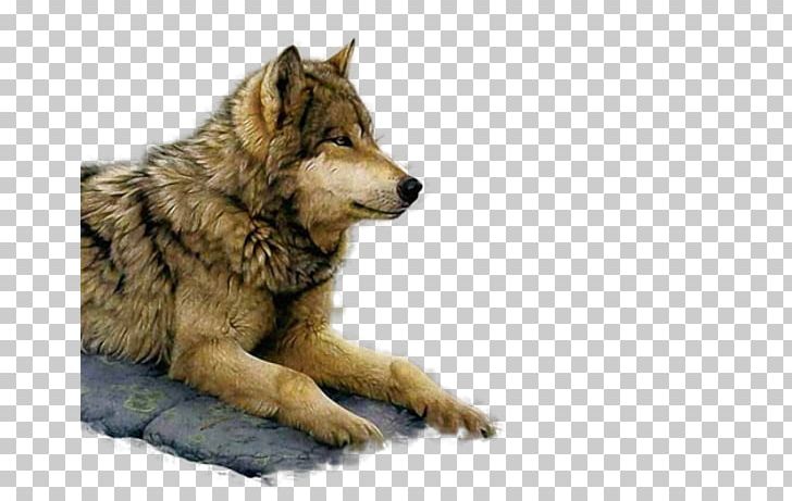 Painting Art Museum Gray Wolf Paint By Number PNG, Clipart, Art, Artist, Art Museum, Asil, Canis Lupus Tundrarum Free PNG Download