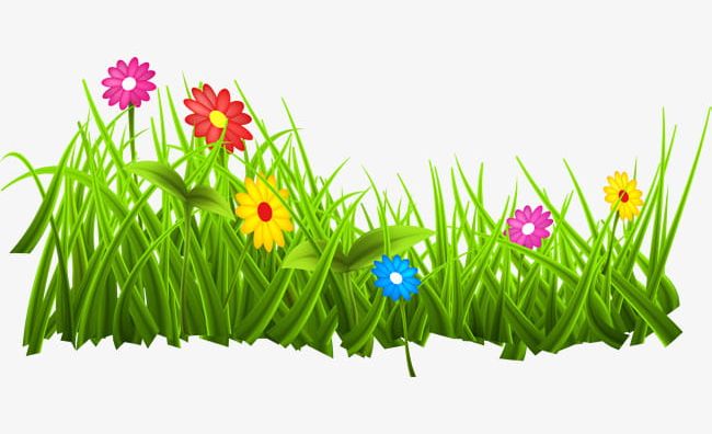 Green Grass Flowers PNG, Clipart, Clusters, Decorative, Decorative Pattern, Flower, Flowers Free PNG Download