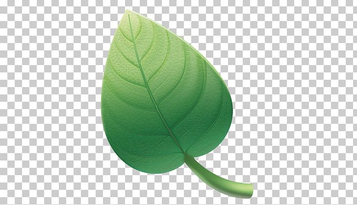 Green Leaf PNG, Clipart, Camping, Green, Hiking, Leaf, New York State Free PNG Download