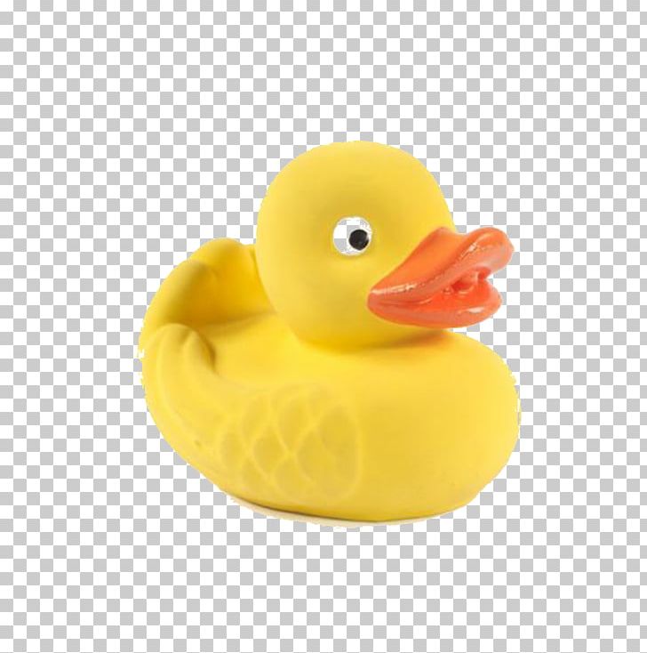 Rubber Duck Material PNG, Clipart, Animals, Beak, Bird, Bobles, Duck Free PNG Download