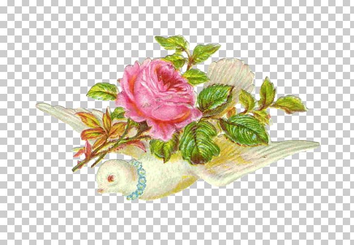 Garden Roses Floral Design Cut Flowers PNG, Clipart, Art, Artificial Flower, Christmas Card, Clip, Cut Flowers Free PNG Download