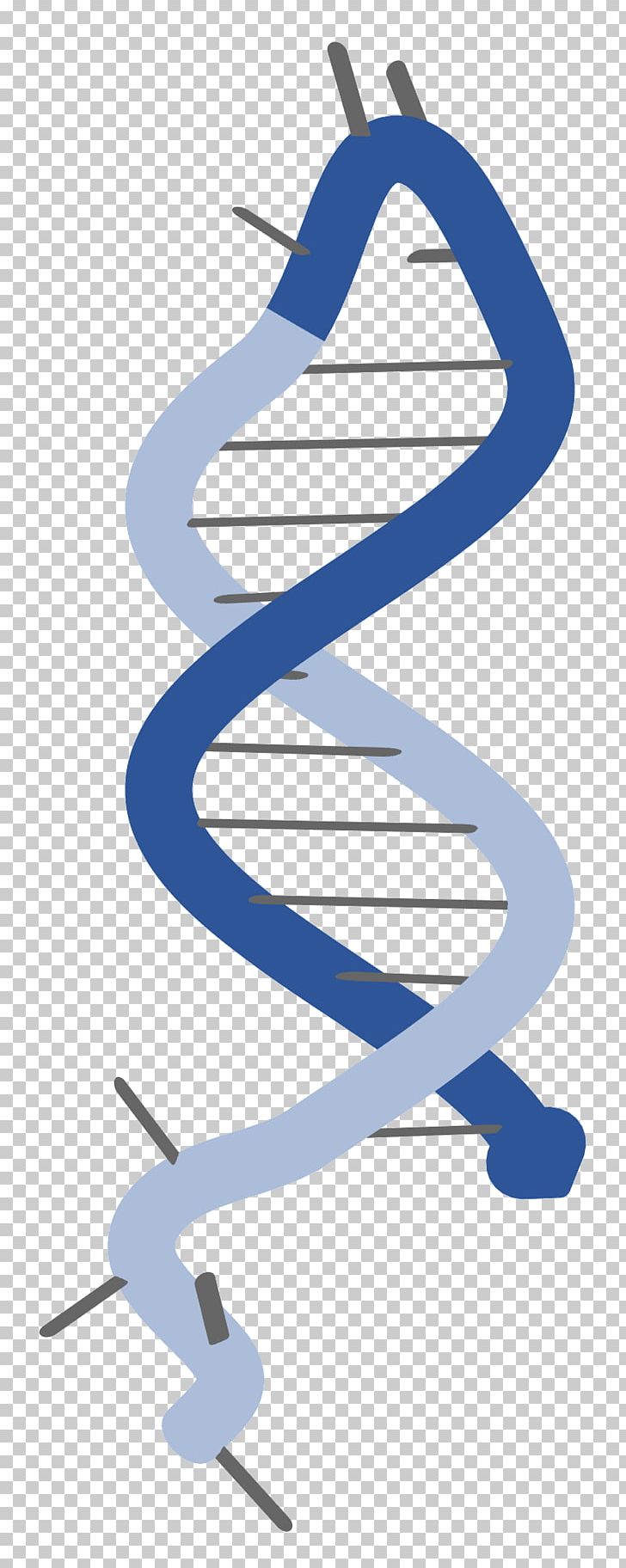 Molecular Biology Messenger RNA Research DNA PNG, Clipart, Amplifikacija, Angle, Biology, Diagram, Dna Free PNG Download