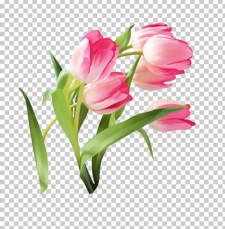 Tulip Flower PNG, Clipart, Animation, Artificial Flower, Bud, Color, Cut Flowers Free PNG Download