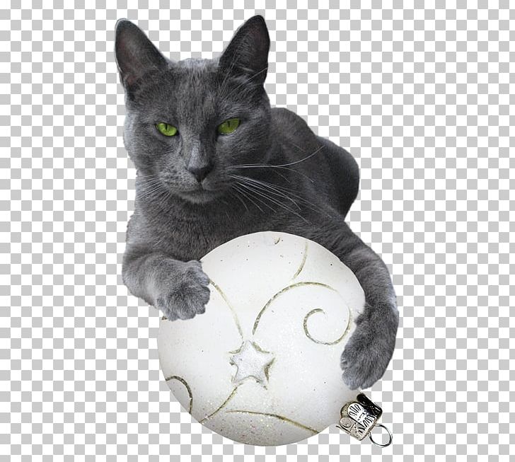 Black Cat Computer Icons Kitten PNG, Clipart, Animal, Animals, Black And White, Black Cat, Blog Free PNG Download