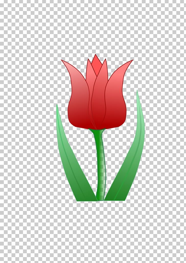 Flower Tulip Computer Icons PNG, Clipart, Bing, Computer Icons, Computer Wallpaper, Desktop Wallpaper, Drawing Free PNG Download
