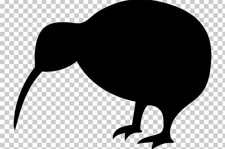 Silhouette Bird New Zealand PNG, Clipart, Animal Silhouettes, Beak, Bird, Birds Cartoon, Black And White Free PNG Download