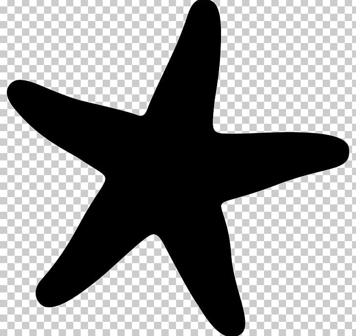 Starfish Marine Invertebrates PNG, Clipart, Airplane, Animal, Animals, Black And White, Bumper Sticker Free PNG Download