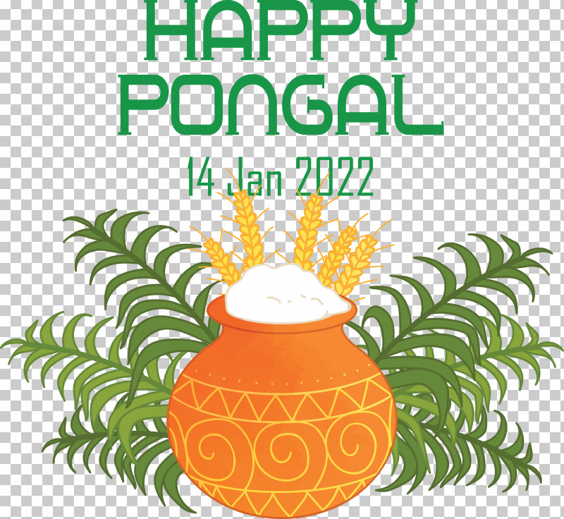 Makar Sankranti PNG, Clipart, Alpana, Bihu, Festival, Harvest Festival, Holiday Free PNG Download