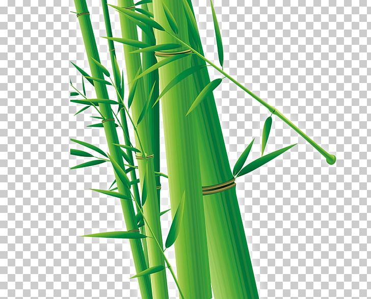 Bamboo Cdr Euclidean PNG, Clipart, Adobe Illustrator, Background Green, Bamboo, Bamboo Leaves, Cdr Free PNG Download