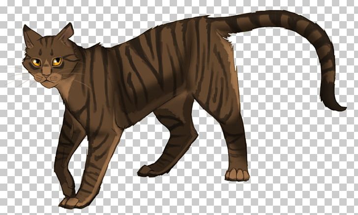 Warriors Dovewing Erin Hunter Tigerheart PNG, Clipart, Animal, Carnivoran, Cat Like Mammal, Deviantart, Fan Fiction Free PNG Download