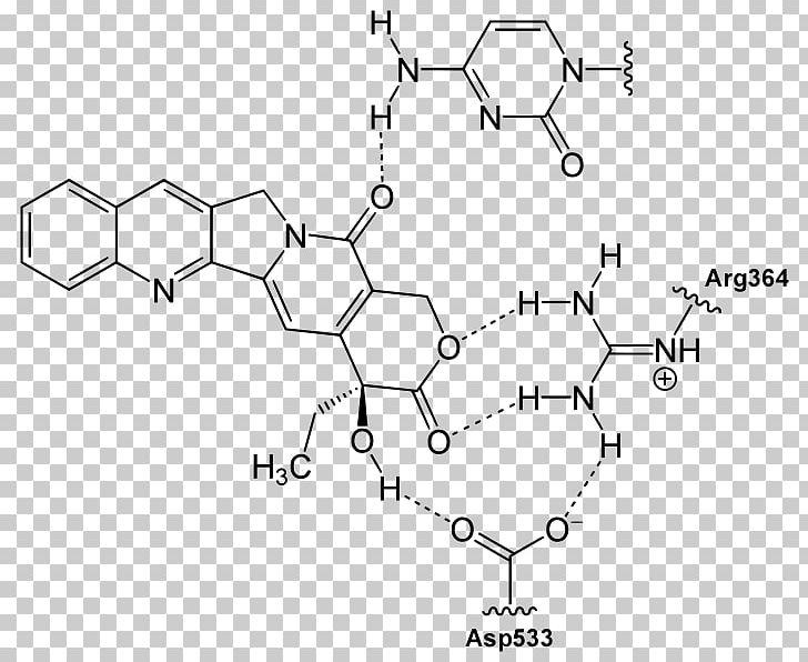 Camptothecin Quinoline Chemistry Alkaloid Topotecan PNG, Clipart, Alkaloid, Angle, Area, Auto Part, Binding Free PNG Download