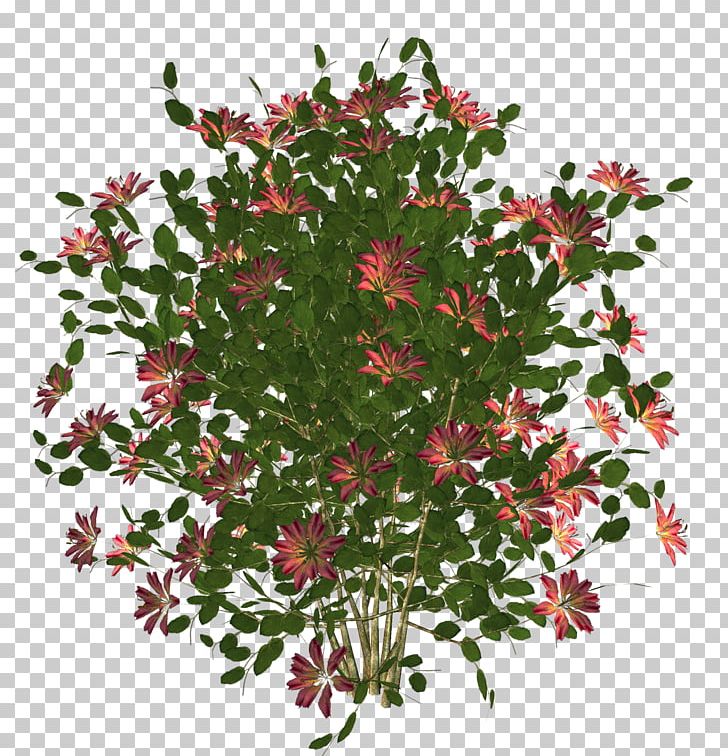 Flower 3D Rendering Stock Photography PNG, Clipart, 3d Rendering, Cimen Resimleri, Dots Per Inch, Flora, Flower Free PNG Download
