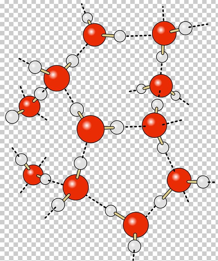 Hydrogen Bond Water Partial Charge Chemical Bond PNG, Clipart, Area, Bead, Chemistry, Food, Fruit Free PNG Download