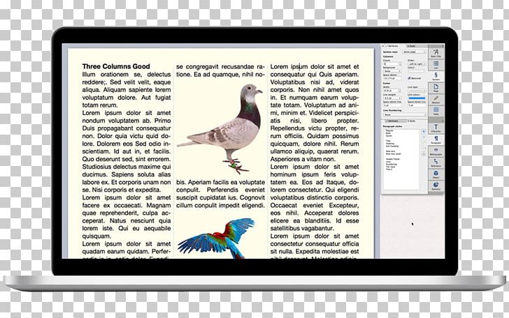 Native Advertising Computer Software Marketing Information PNG, Clipart, Advertising, Brand, Computer Software, Content, Content Management System Free PNG Download