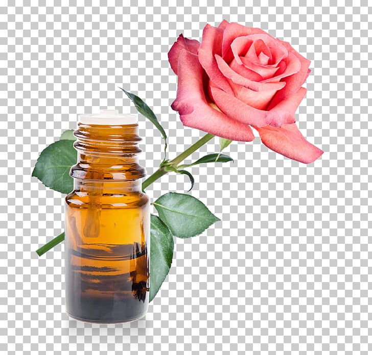 Rose Oil Rose Water Essential Oil Herbal Distillate PNG, Clipart, Aromatherapy, Bottle, Coconut Oil, Cut Flowers, Damas Free PNG Download