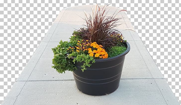 Flowerpot Houseplant Plastic PNG, Clipart, City, Drawing, Flora, Flower, Flowerpot Free PNG Download