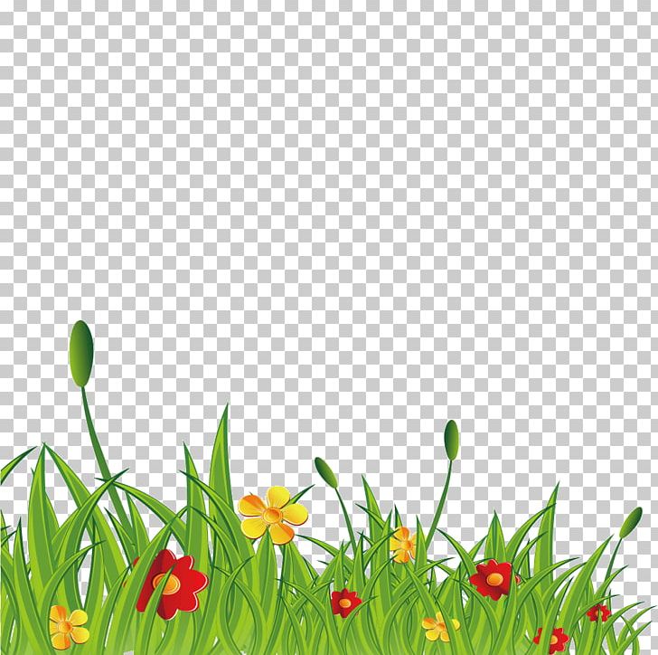 Grass Wildflowers PNG, Clipart, Cartoon, Computer Software, Computer Wallpaper, Desktop Wallpaper, Drawing Free PNG Download