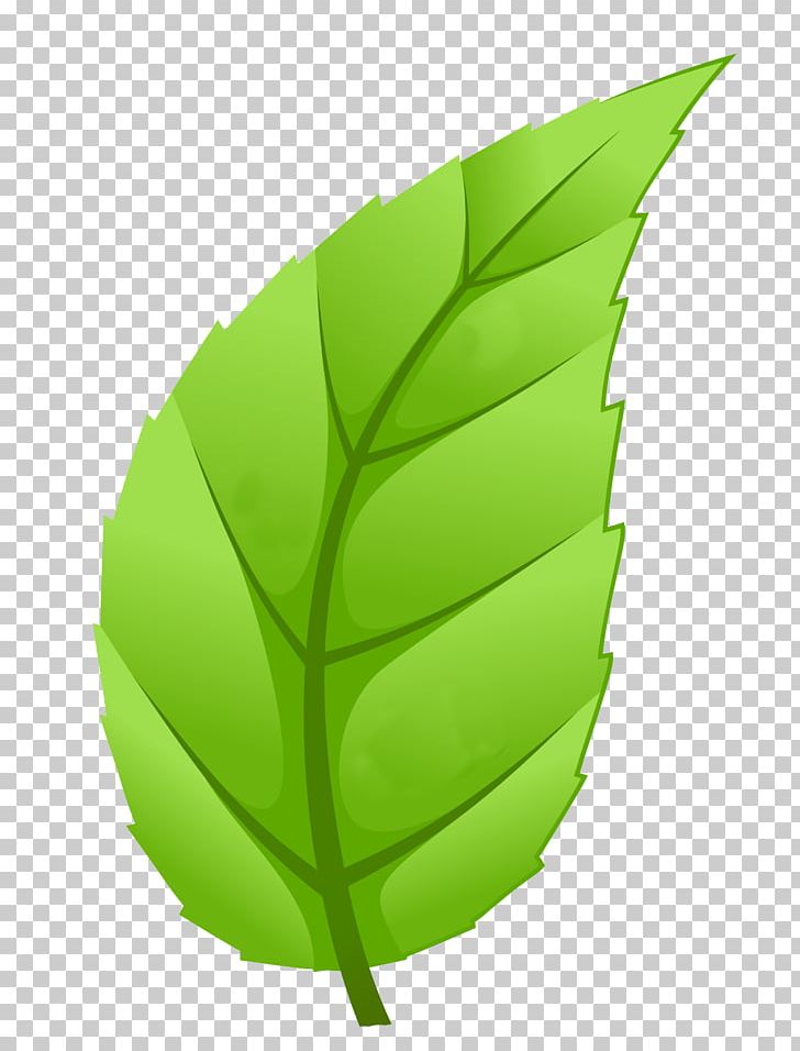 Light Sustainability Sustainable Development Leaf Natural Environment PNG, Clipart, Business, Desktop Wallpaper, Economy, Environment, Grass Free PNG Download