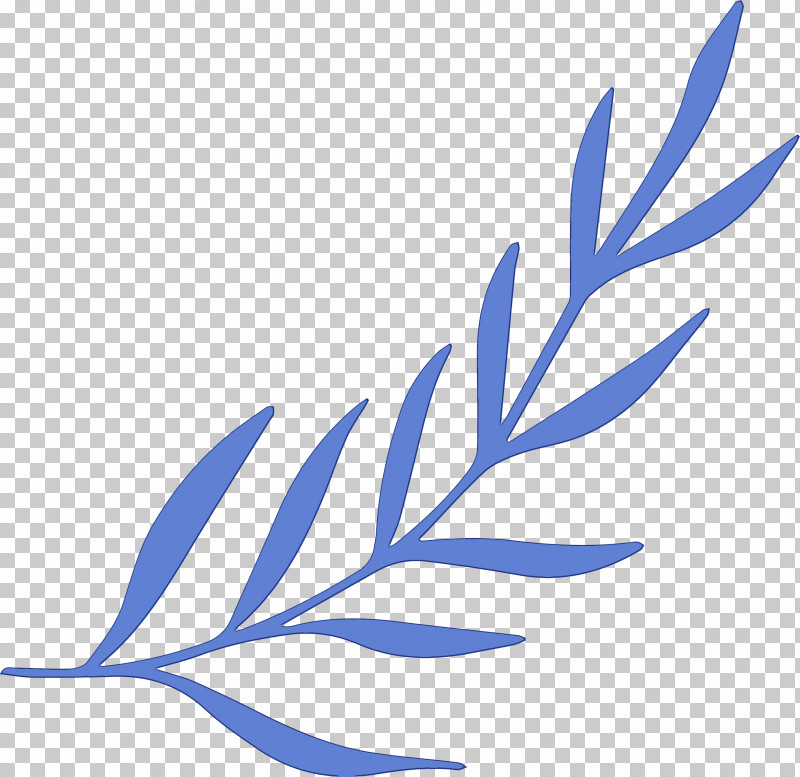 Plant Stem Branch Leaf Line Area PNG, Clipart, Area, Biology, Branch, Leaf, Line Free PNG Download