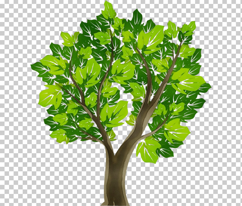 Tree Oak Hardwood Branch Plants PNG, Clipart, Branch, Hardwood, Oak, Paint, Plants Free PNG Download