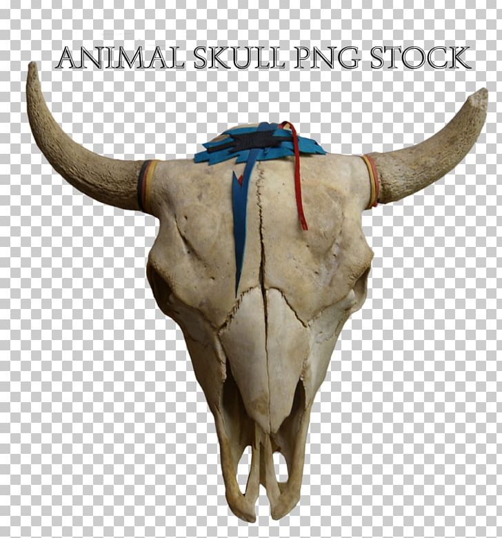 Cattle Animal Skulls Pronghorn PNG, Clipart, Animal, Animal Skulls, Antler, Bone, Cattle Free PNG Download