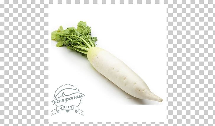 Chinese Cuisine Daikon Cải Củ Chinese Broccoli Vegetable PNG, Clipart, Carrot, Chinese Broccoli, Chinese Cuisine, Cooking, Daikon Free PNG Download