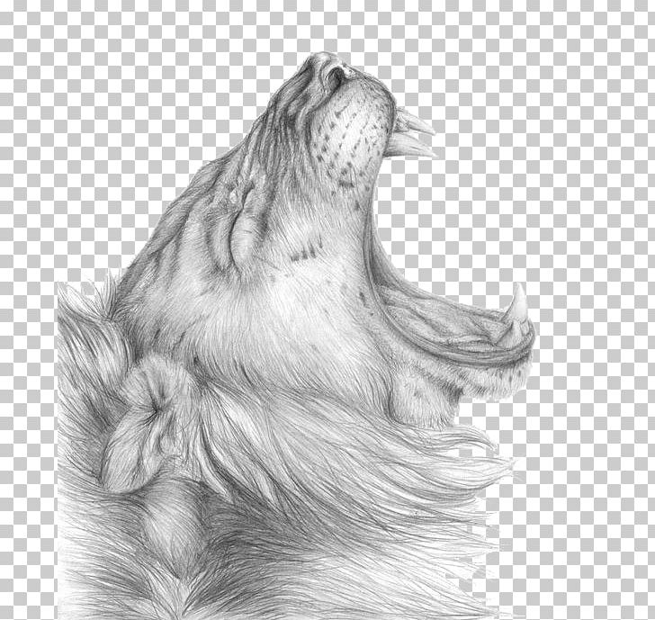Lion Drawing Sketch PNG, Clipart, Animals, Artwork, Black And White, Carnivoran, Clipar Free PNG Download