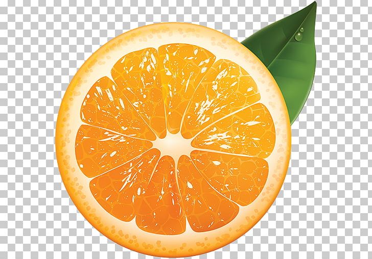 Orange Juice Grapefruit PNG, Clipart, Bitter Orange, Citric Acid, Citrus, Clementine, Diet Food Free PNG Download