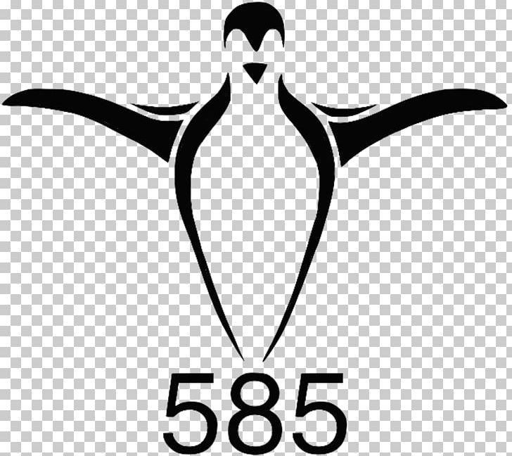 Beak Brand Logo White PNG, Clipart, Aljazeera Paints, Artwork, Beak, Bird, Black Free PNG Download