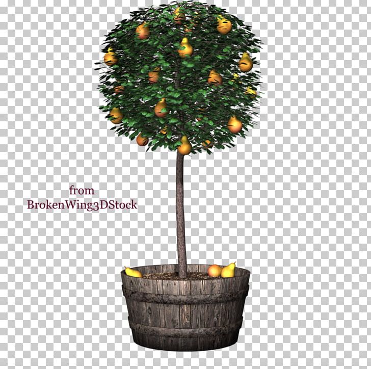 Tree Flowerpot Poinsettia PNG, Clipart, 3d Computer Graphics, 30 November, Deviantart, Evergreen, Flowerpot Free PNG Download