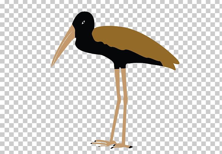 White Stork Water Bird Beak PNG, Clipart, Beak, Bird, Ciconiiformes, Shorebird, Stork Free PNG Download