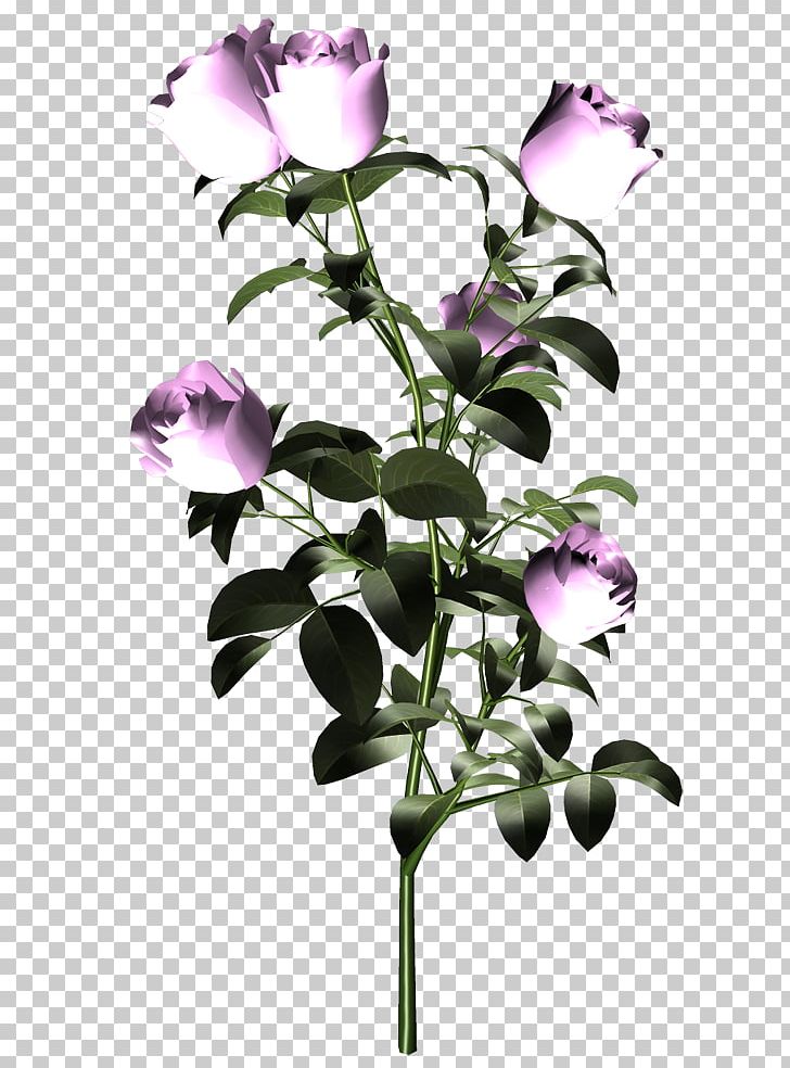 Cut Flowers Purple Plant Stem PNG, Clipart, Blog, Branch, Cut Flowers, Dimension, Flora Free PNG Download