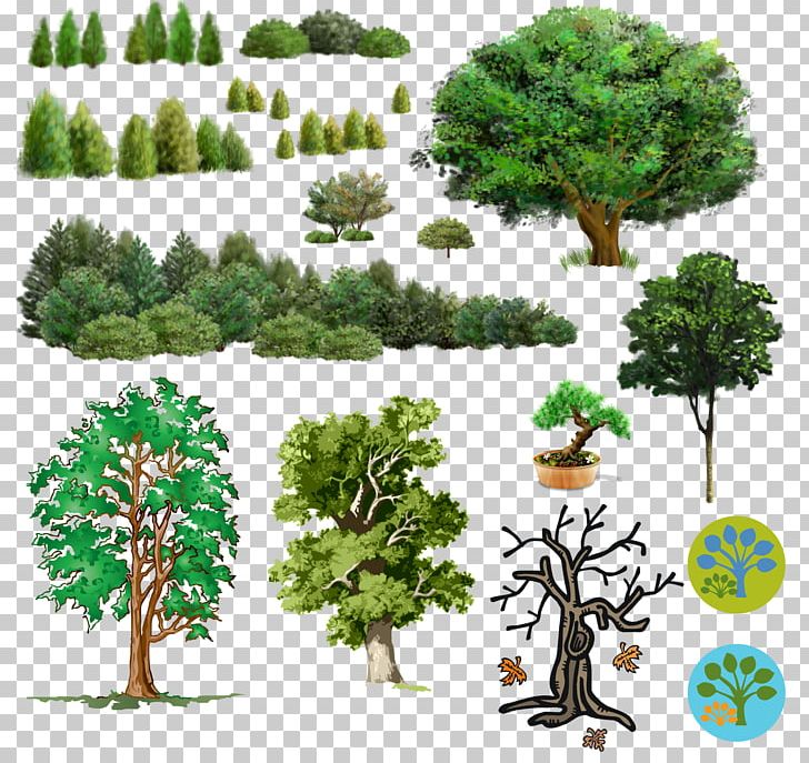 Tree PNG, Clipart, Bonsai, Branch, Computer Software, Digital Image, Encapsulated Postscript Free PNG Download