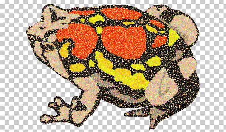True Frog Scaphiophryne Gottlebei Poetry Tree Frog PNG, Clipart, Amphibian, Animal, Animal Figure, Art, Book Free PNG Download