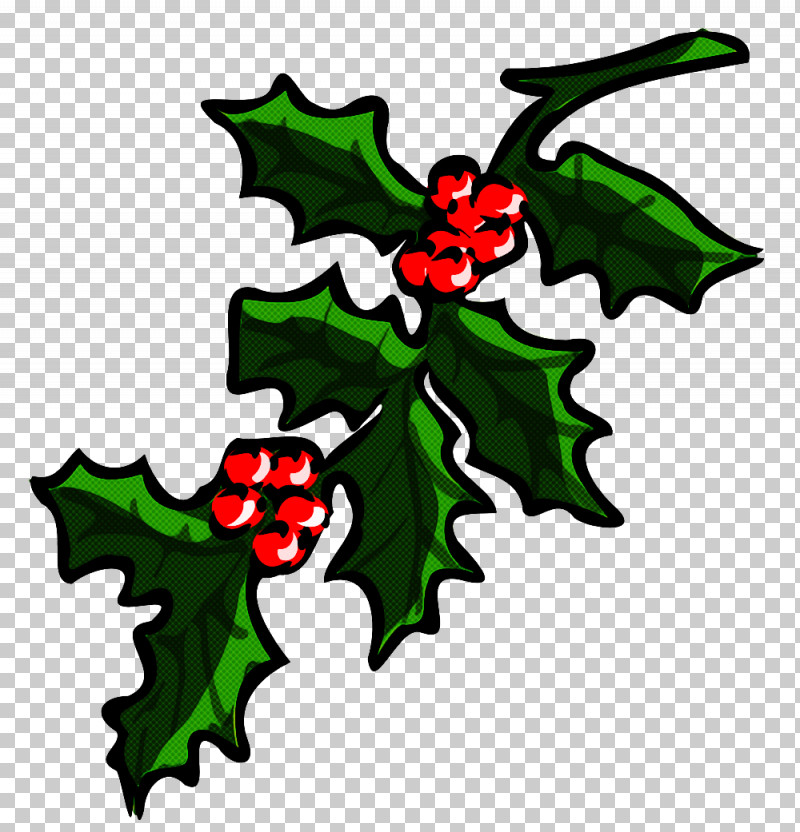 Holly PNG, Clipart, American Holly, Holly, Leaf, Plane, Plant Free PNG Download