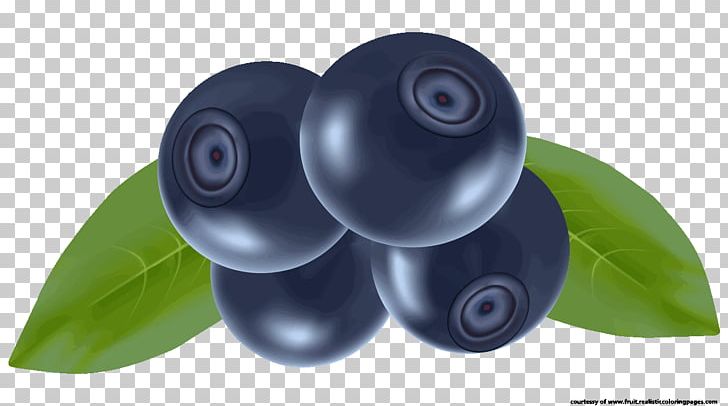 Blueberry Fruit Auglis PNG, Clipart, Animation, Auglis, Berry, Blueberry, Food Free PNG Download