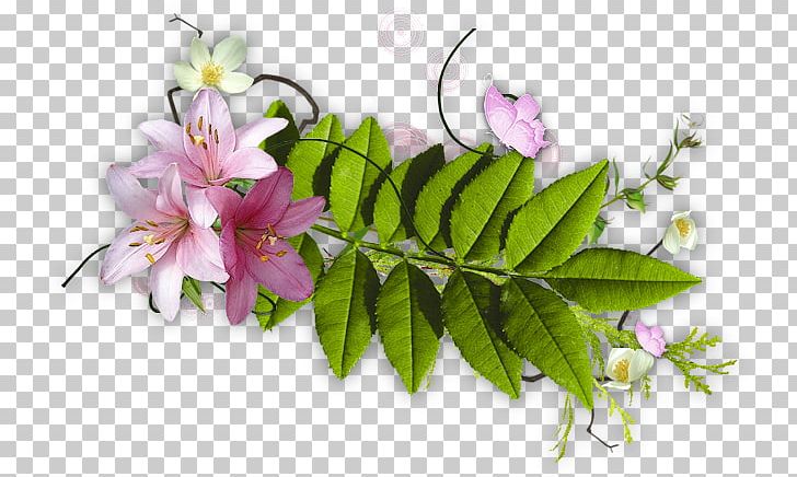 LiveInternet Floral Design PNG, Clipart, Collage, Creativity, Diary, Floral Design, Flower Free PNG Download