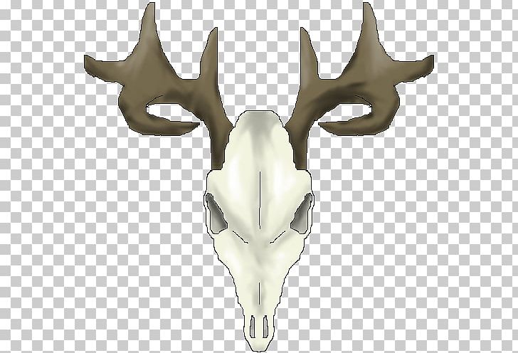 White-tailed Deer Reindeer Skull PNG, Clipart, Antler, Art, Bone, Deer, Digital Art Free PNG Download