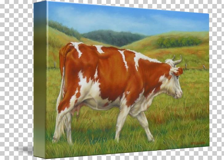 Dairy Cattle Calf Pasture Painting PNG, Clipart, Calf, Cattle, Cattle Like Mammal, Cow Goat Family, Dairy Free PNG Download