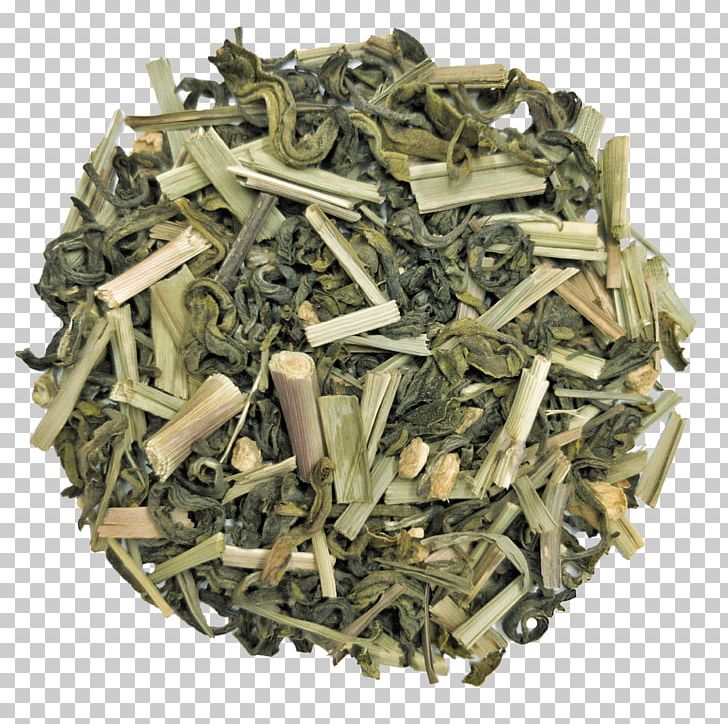 Green Tea TGL Co. Nilgiri Tea Indian Filter Coffee PNG, Clipart,  Free PNG Download