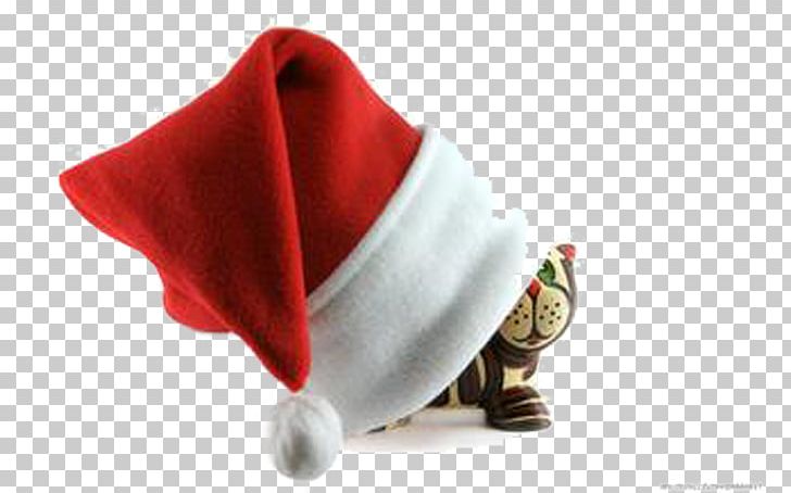 Little Red Riding Hood PNG, Clipart, Adobe Illustrator, Buckle, Cat, Chef Hat, Christmas Free PNG Download